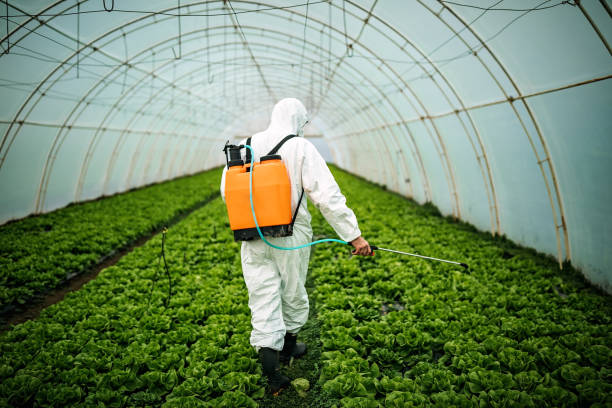 Best Pest Inspection Near Me  in Plymouth, IN