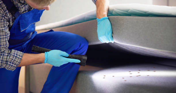 Best Ant Control Services  in Plymouth, IN