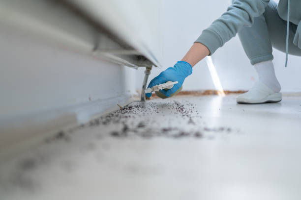 Best Wasp Removal Services  in Plymouth, IN